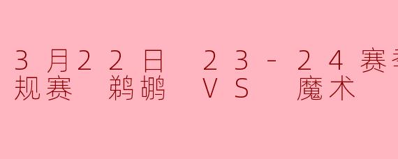 3月22日23-24赛季NBA常规赛,鹈鹕对阵魔术的比赛结果如何?